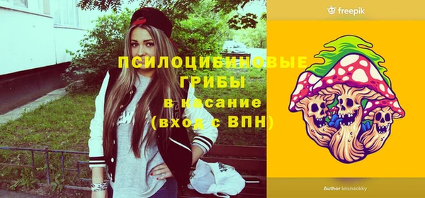 амф Арсеньев