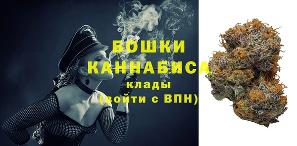 амф Арсеньев