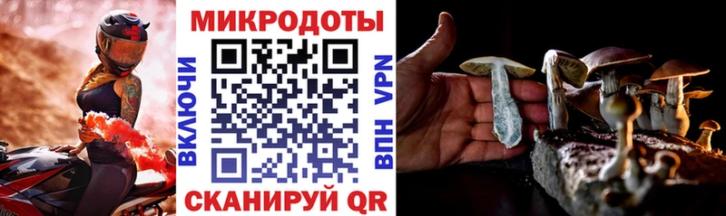 Галлюциногенные грибы MAGIC MUSHROOMS  сайты даркнета формула  Бавлы 